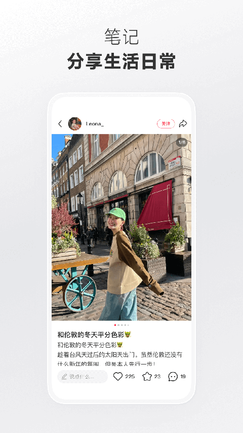 獭卧冰面看星河成漩涡壁纸